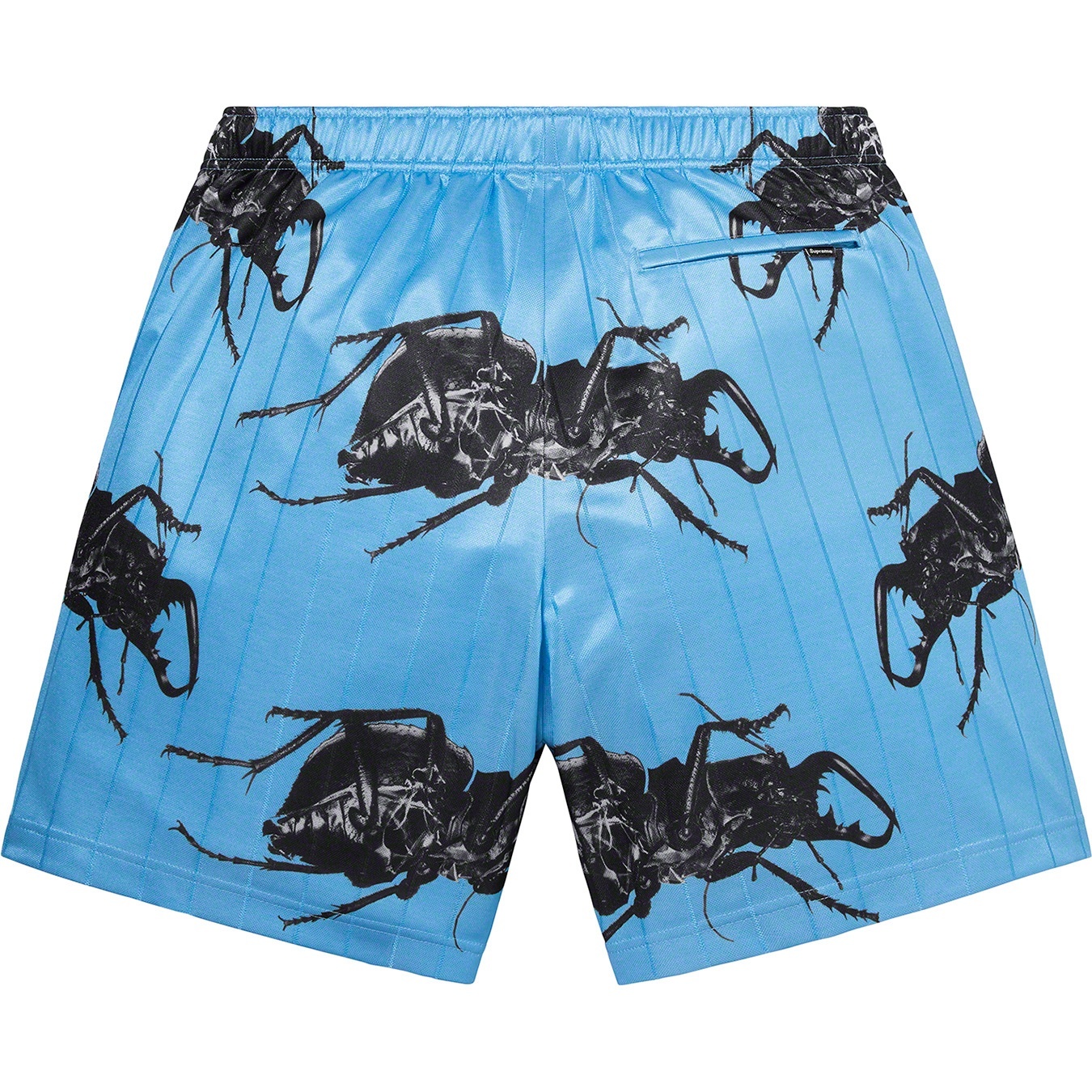 Beetle Short view 6